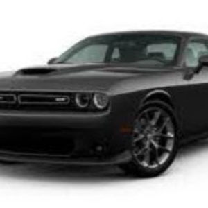 Meet your Posher, Rylee